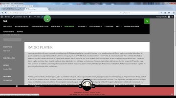 Sticky Radio Player - How to insert the player into your website