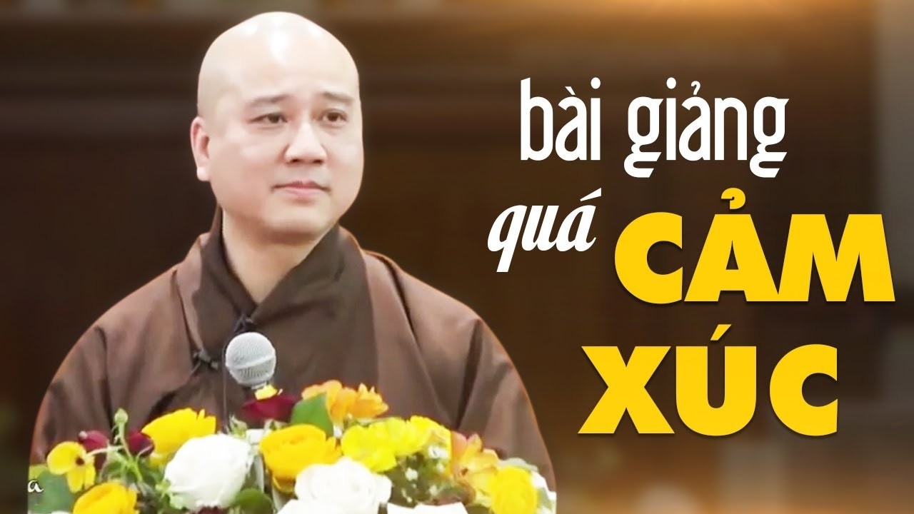 Suýt BẬT KHÓC vì Thầy giảng về Lòng Từ Bi rất hay, nghe thấm từng lời từng chữ - Thầy Thích Pháp Hòa