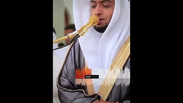 سورة الكافرون 🤍🤍 / القارئ احمد النفيس 🤍