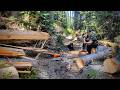 A Storm Blocked The Trail We Fixed It 