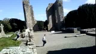 video 013.mp4