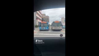 Anchorage, Alaska - People Mover Buses - Bus Action