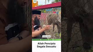 Allah Pencipta Segala Sesuatu - Ustadz Dr Syafiq Riza Basalamah MA