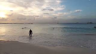 Hilton Hotel & Pebbles Beach In Barbados??