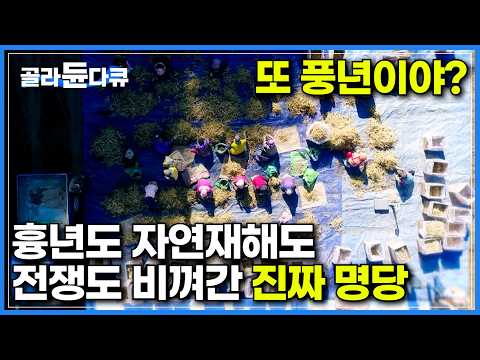 이 <strong>동네는</strong> 또 풍년이야? 흉년도 자연재해도 전쟁도 비껴간 명당 동네┃조선 시대 정감록 십승지 중 일승지로 꼽히는 곳┃선조들의 이상향이라 손꼽히던 금계리 마을┃한국기행┃#골라듄다큐
