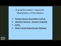 Use of Hypnosis To Alter Perception