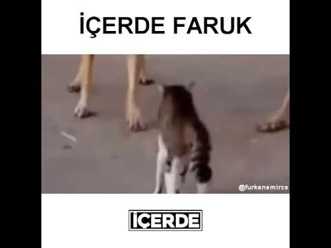 İçerde Faruk Furkan Emirce