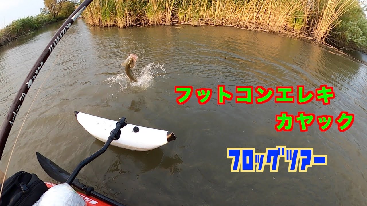 フロッグ フットコンエレキ仕様カヤック 西の湖 琵琶湖界隈 バス