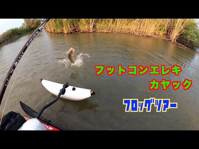 フロッグ フットコンエレキ仕様カヤック 西の湖 琵琶湖界隈 バス