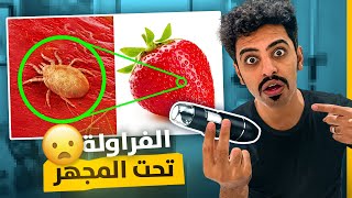 شريت مكبر يخليك تشوف الاشياء الصغيره الي ماتقدر تشوفها بعينك 😢 شي مو طبيعي الي شفته