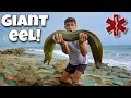 RESCUING Giant EEL TRAPPED In A TIDE POOL!! *Crazy*