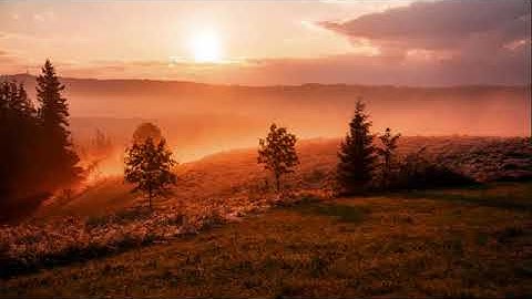 تلاوه هادئه ستأخذك الى عالم ثاني اسمع