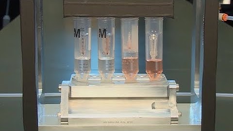 Concentrate your protein, don