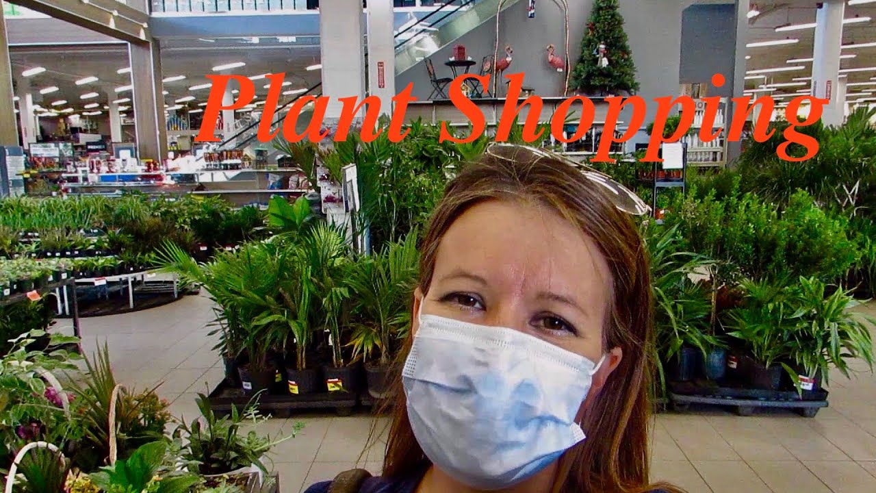 Canadian Tire Plant Shopping, Edmonton, Alberta. North and South