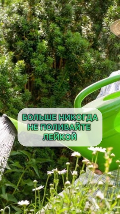 ПРЕКРАТИТЕ ПОЛЬЗОВАТЬСЯ ЛЕЙКОЙ #дача #огород #дачник #садовод # ...