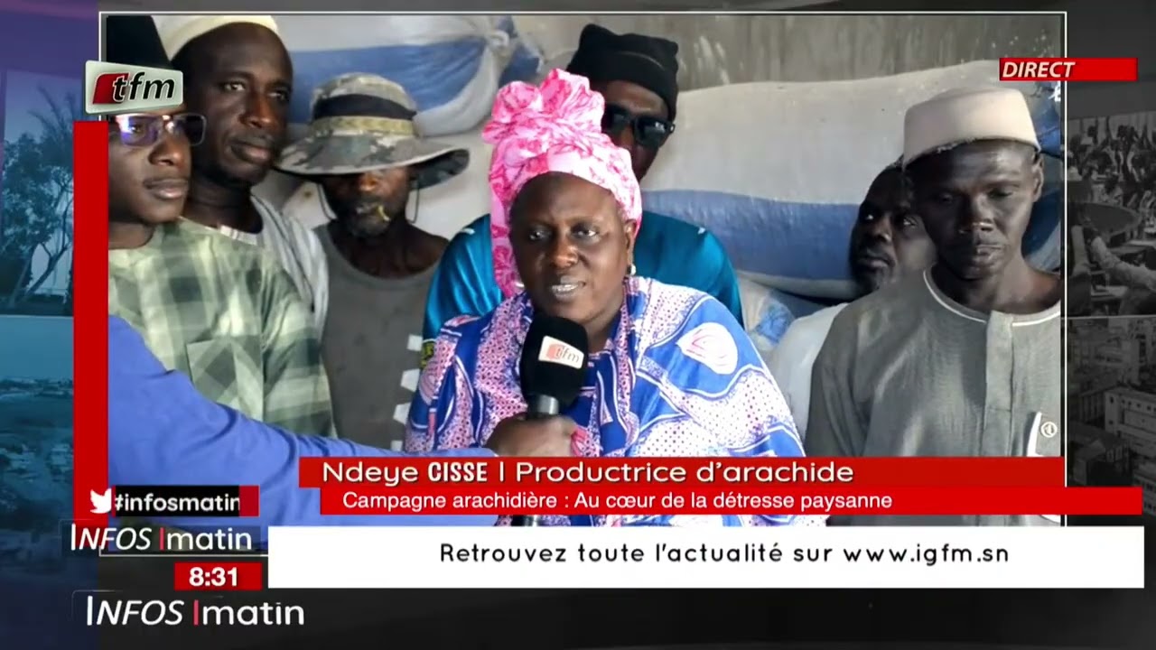 focus infos matin | campagne arachidière : au cœur de la détresse paysanne - 09 Mars 2026