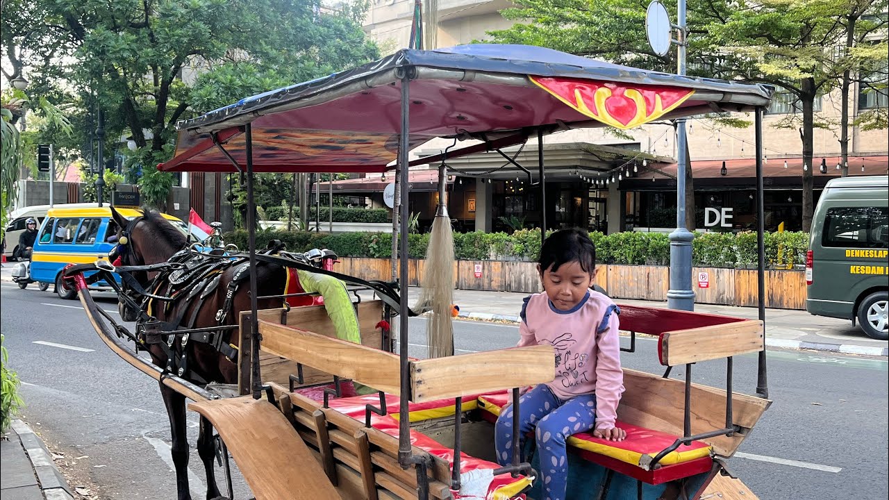 jalan pagi ke alun alun Bandung, Aca pertama kali naik delman🤗 #fyp #masyaallahtabarakallah #acanoy