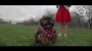 Io Chile Me Cansé Del Abandono Por Catalina Moreno