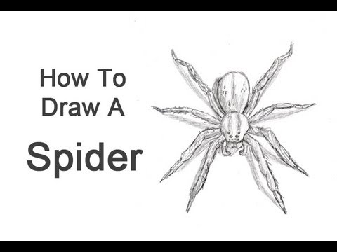 How to Draw a Spider - YouTube