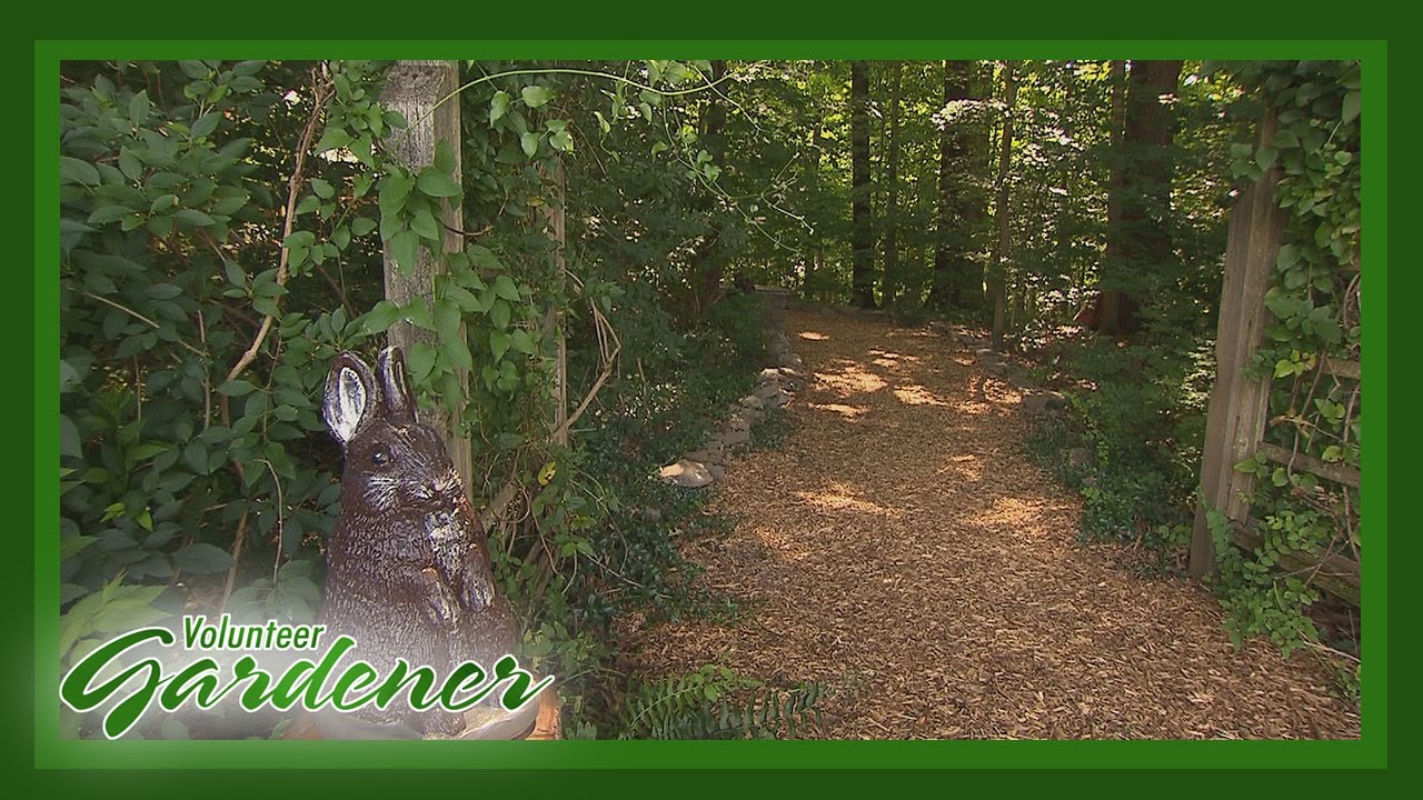 Woodland, Wildflowers and Storytelling | Volunteer Gardener