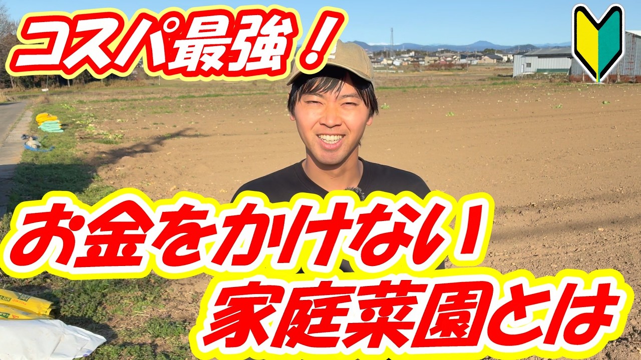 【家庭菜園】お金をかけない！一番お金をかけずコスパ良く家庭菜園をやる方法【初心者】