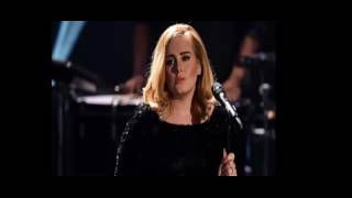 Adele Seemed Quite Upset as fan Suffers Cardiac Arrest