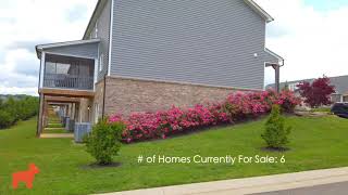 Next Home 245-  Farmington
