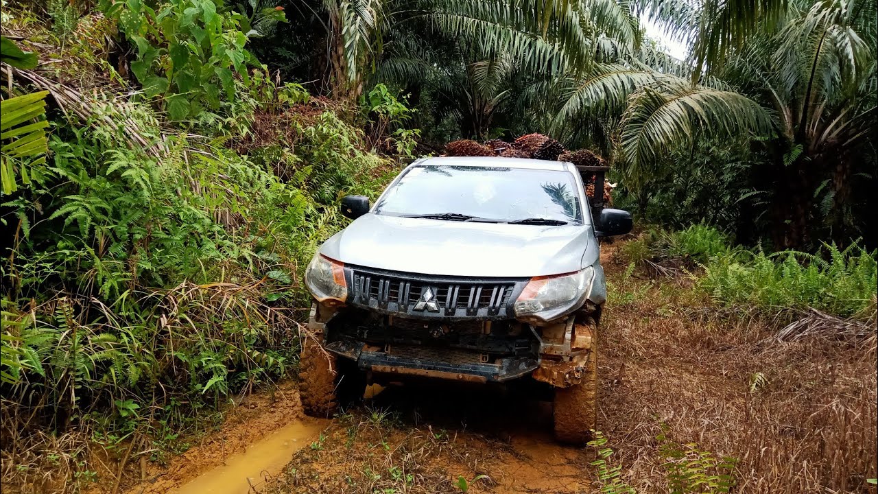 LANGSIR BUAH SAWIT | STRADA TRITON 4X4