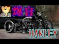 Harley evolution爆音sound by RJハーレーエボ
