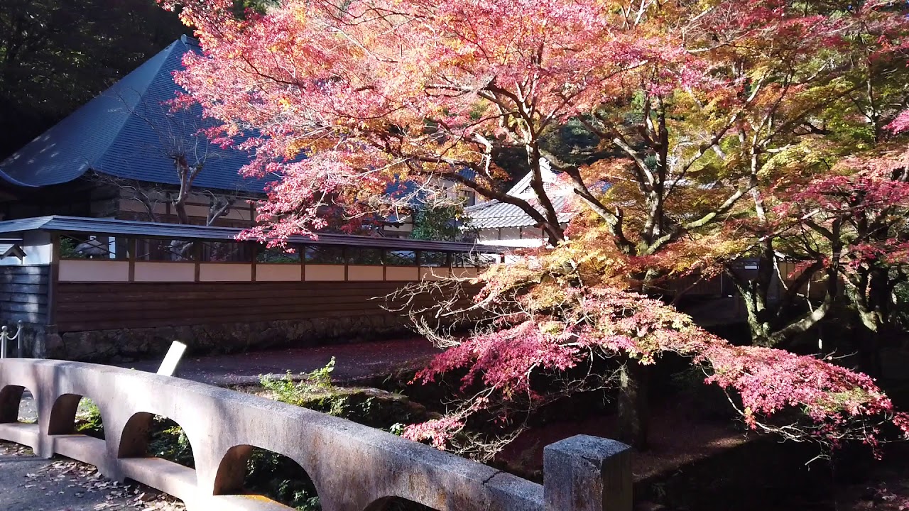 鰐淵寺 紅葉 年 Youtube 鰐淵寺 紅葉 年 Youtube