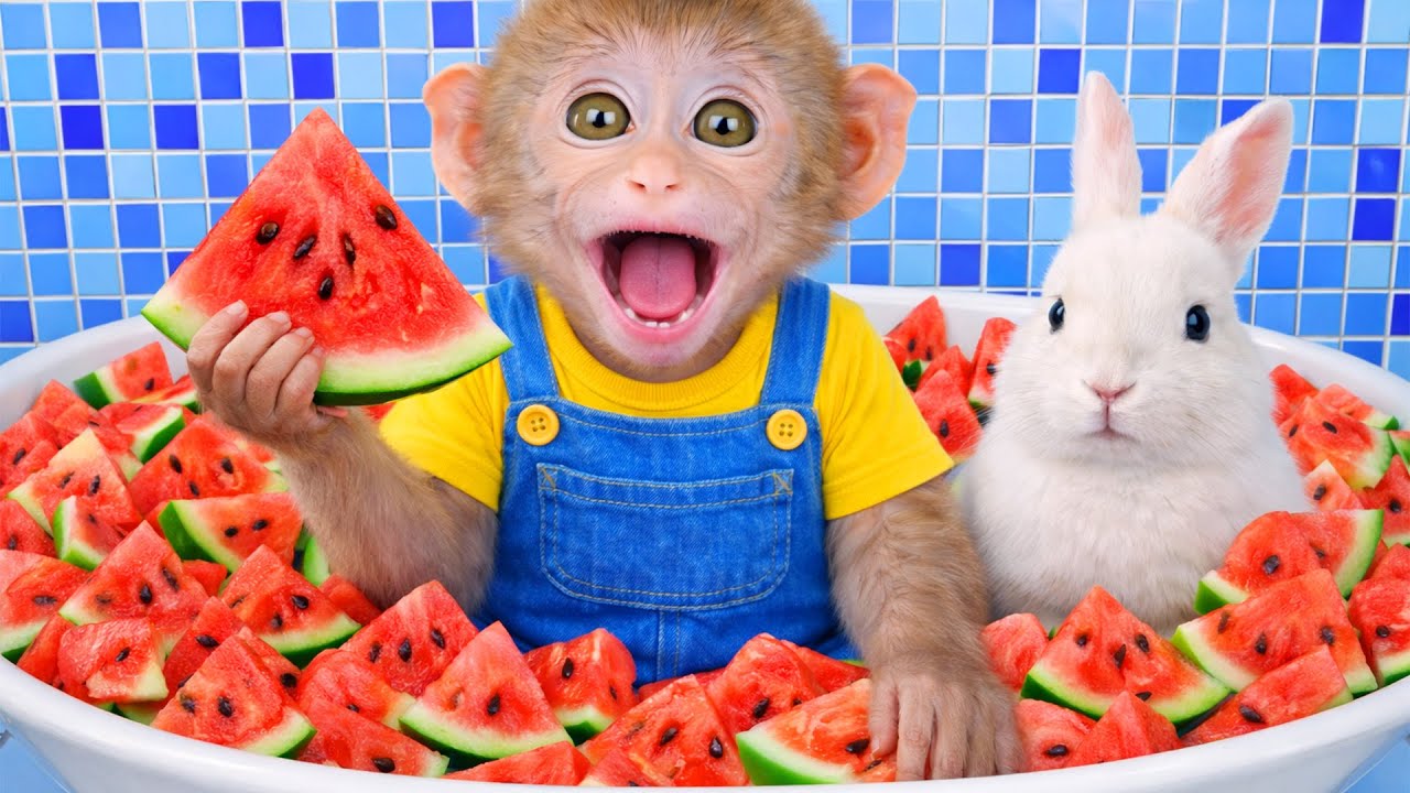 Monkey Plays with a Cute White Rabbit and Makes Super Delicious Watermelon Juice! | Mono Magic TV