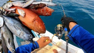 Mancing jigging spot karang kedalam cuman 15-25m sampe dibuat kewalan
