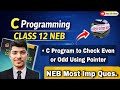 Check Even or Odd Using Pointer | Pointer in C Programming | NEB Class 12