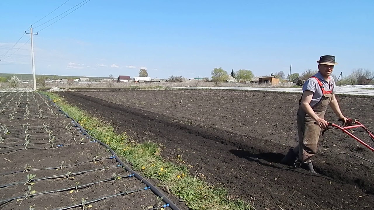 Пахота мотоблоком 2020.На фрезах. - YouTube