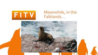 145 | Meanwhile in the Falklands...