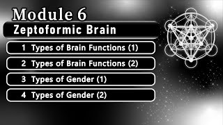 Module 6 (Old Version): Zeptoformic Brain  #enneagram #brain #sacredgeometry #integraltheory