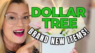 10 *EASY* Renter Hacks😱Dollar Tree Organization 2024