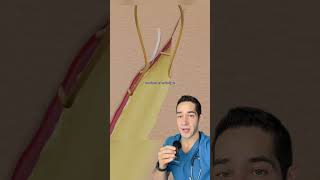 Doctor Explains: dissolvable stitches