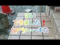 タイルの目地込みやってみた❗