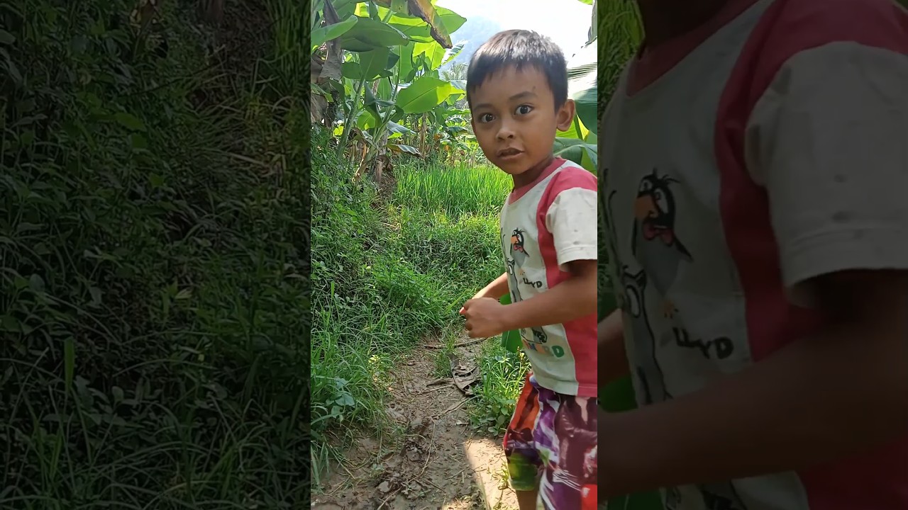 Deti-detik dicegat Ular King Koros 😱 