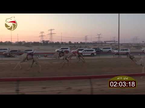 سباق الإيذاع الطي 26 10 2025 ش2 غزير ل سلطان سعيد محمد أحمد ابراهيم 6 11