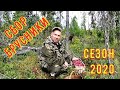 СБОР БРУСНИКИ/АРХАНГЕЛЬСКАЯ ОБЛАСТЬ