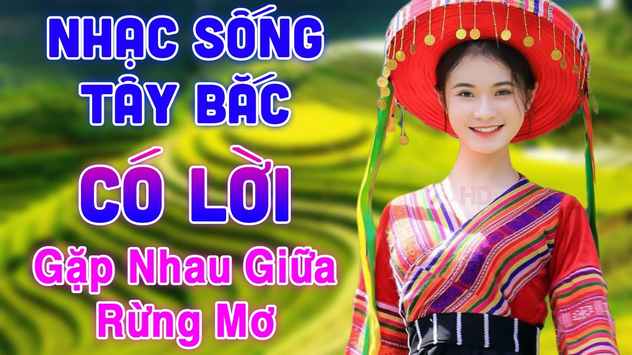 Gặp Nhau Giữa Rừng Mơ - Nhạc Sống Tây Bắc Hay Nhất - LK Nhạc Sống Tây Bắc Vang Dội Khắp Núi Rừng