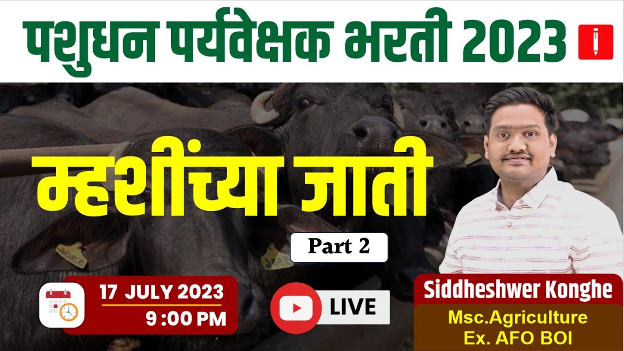 pashudhan paryavekshak bharti | म्हशींच्या जाती | Species of Buffalo | pashudhan vibhag bharti