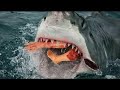 Film Hon na žraloka (Shark Killer) 2020online ke shlédnutí