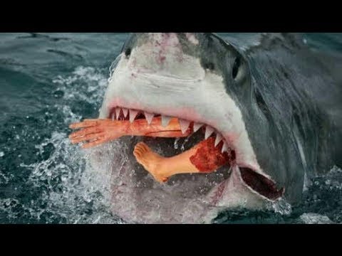 Download Film Hon na žraloka (Shark Killer) 2020online ke shlédnutí