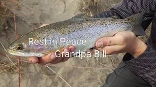 Catching Fat Cutbow Trout in the Arkansas River