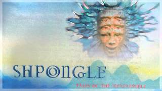 Video thumbnail of "Shpongle - My Head Feels Like A Frisbee"