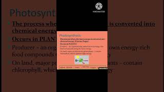 Energy flow in an ecosystem #part1 #class6