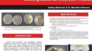 Isolating Bacterial Antibiotic Producers From Soil – Ashley McIntosh